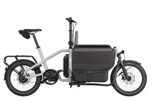 Riese & Müller Carrie