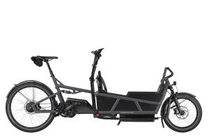 Riese & Müller Load 75