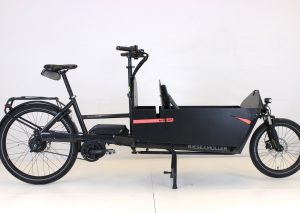 Riese & Müller Packster 80 vario urban