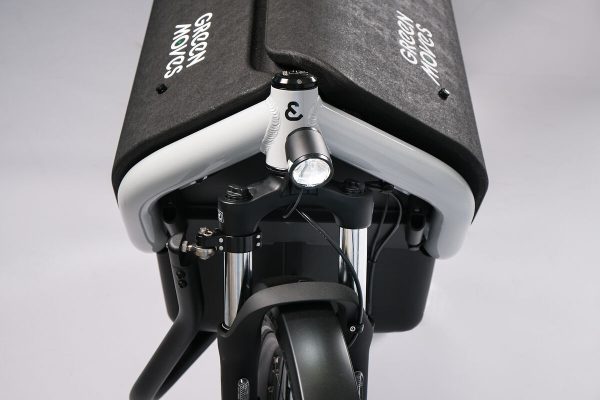 Riese & Müller Carrie