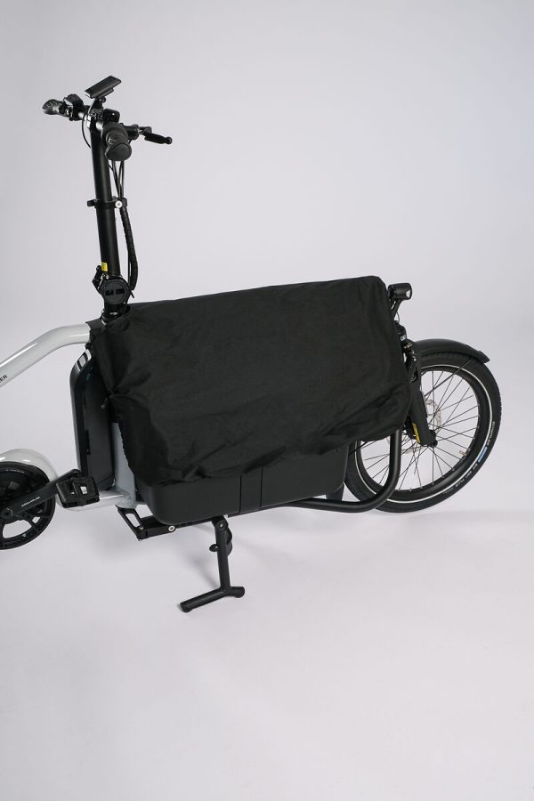 Riese & Müller Carrie