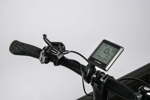 Riese & Müller Carrie