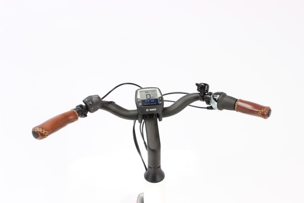 Riese & Müller Swing rücktritt