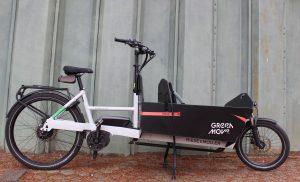 Riese und Müller Packster 80
