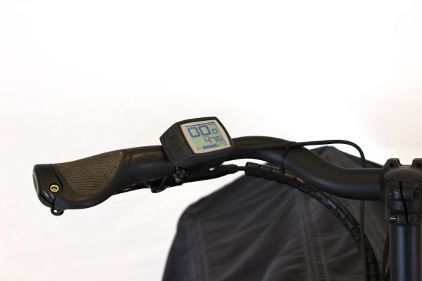 Riese & Müller Packster 80 vario urban