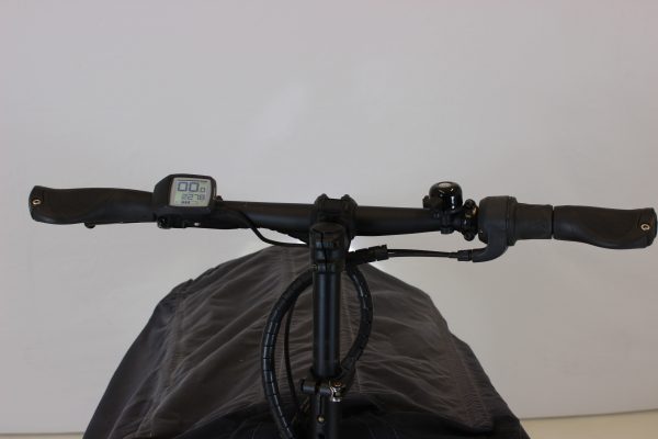 Riese & Müller Packster 80 vario urban Green Moves