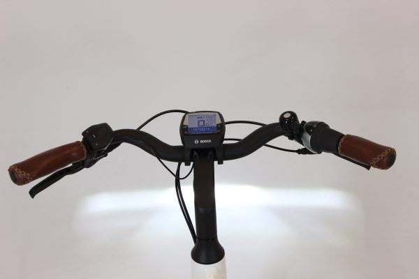 Riese & Müller Swing rücktritt