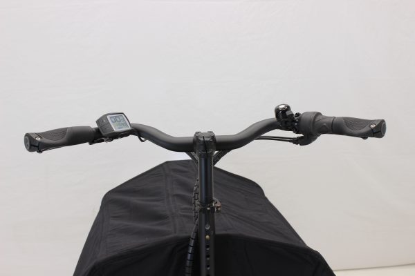 Riese & Müller Packster 80 vario urban