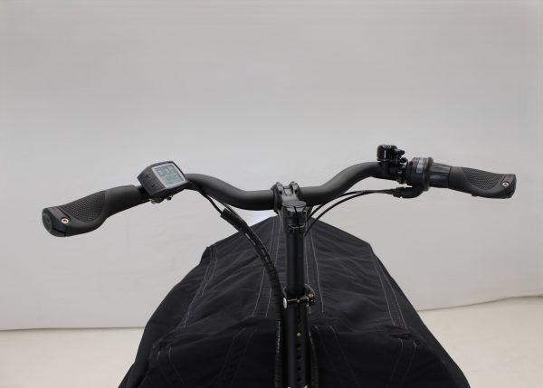 Riese & Müller Packster 80 vario urban