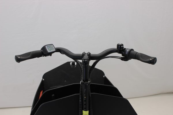 Riese & Müller Packster 80 vario urban Green Moves