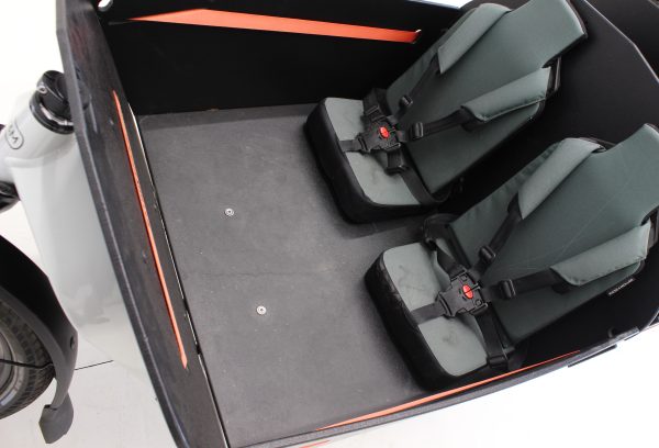 Riese & Müller Packster 80 vario urban Green Moves