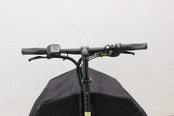 Riese & Müller Packster 80 vario urban