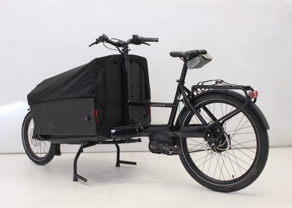 Riese & Müller Transporter 65 business