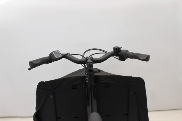 Riese & Müller Transporter 65 business