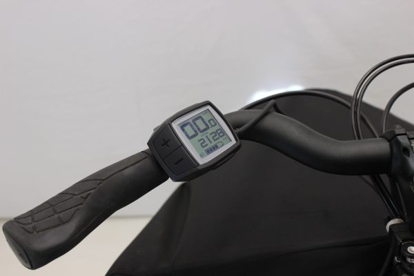 Riese & Müller Transporter 65 business