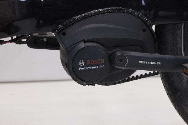 Riese & Müller Transporter 65 business