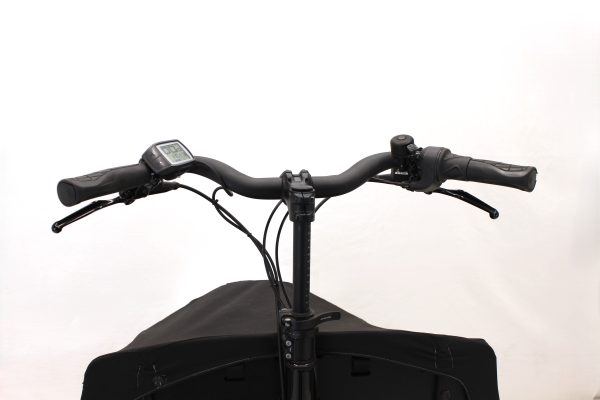 Riese & Müller Transporter 65 business