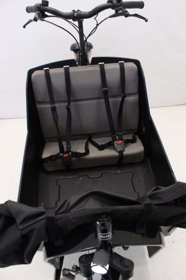 Riese & Müller Transporter 65 business