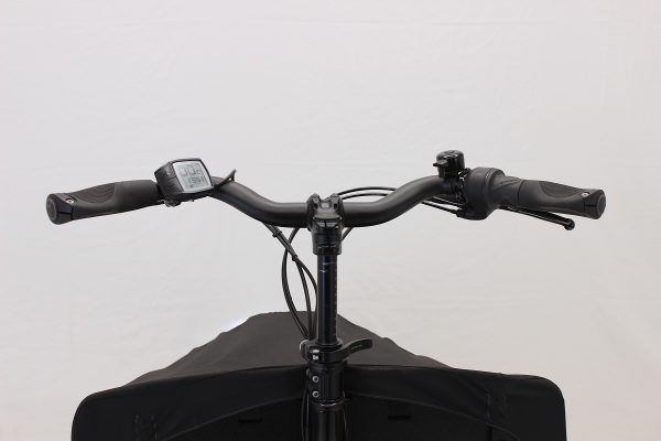 Riese & Müller Transporter 65 business