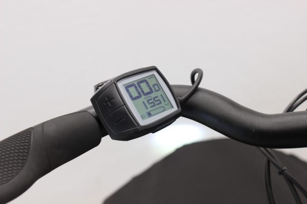 Riese & Müller Transporter 65 business