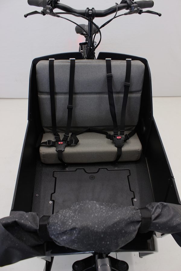 Riese & Müller Transporter 65 business