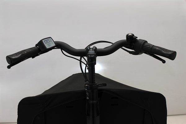 Riese & Müller Transporter 65 business