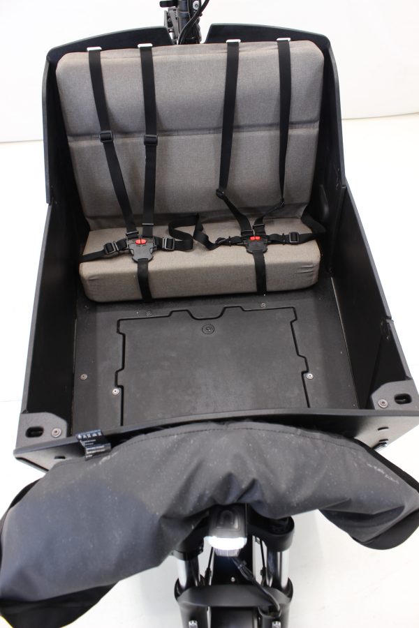 Riese & Müller Transporter 65 business