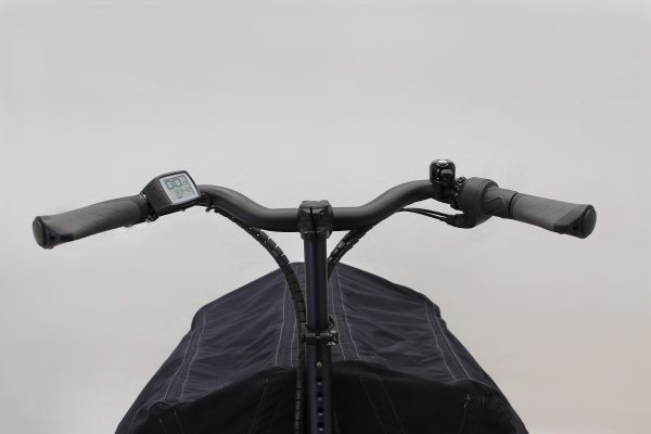 Riese & Müller Packster 80 vario urban