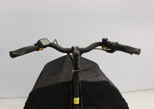 Riese & Müller Packster 80 vario urban