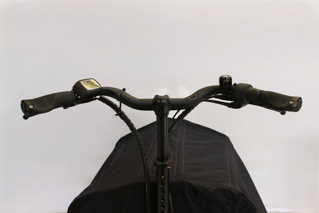 Riese & Müller Packster 80 vario urban