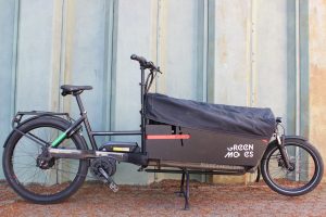 Riese und Müller Packster 80
