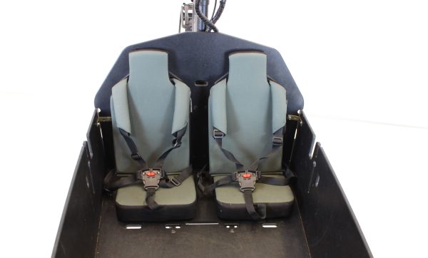 Riese & Müller Packster 80 vario urban