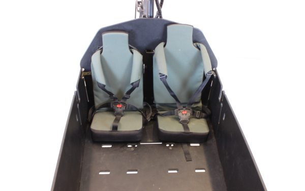 Riese & Müller Packster 80 vario urban