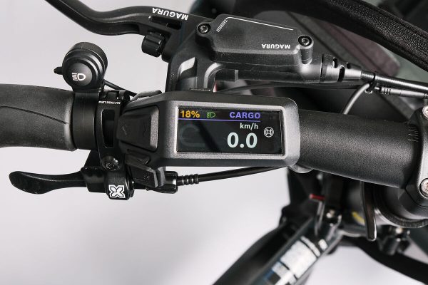 Riese & Müller Load 75