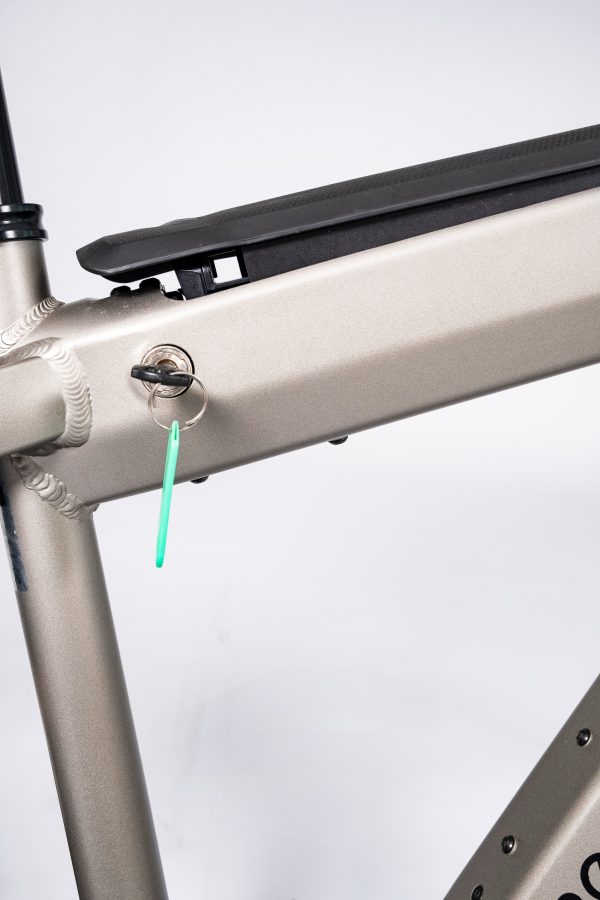Riese & Müller Supercharger GT vario – Bild 2