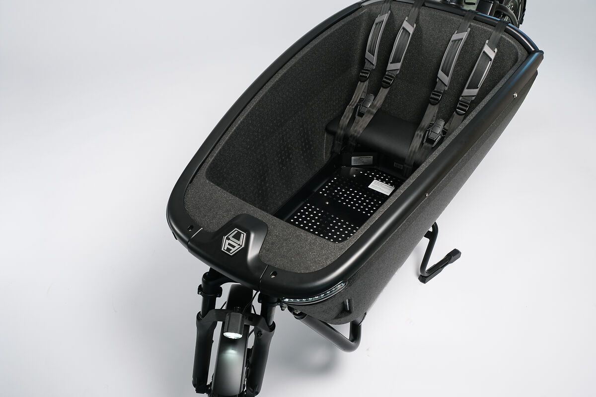 Urban Arrow Family Next – Bild 2